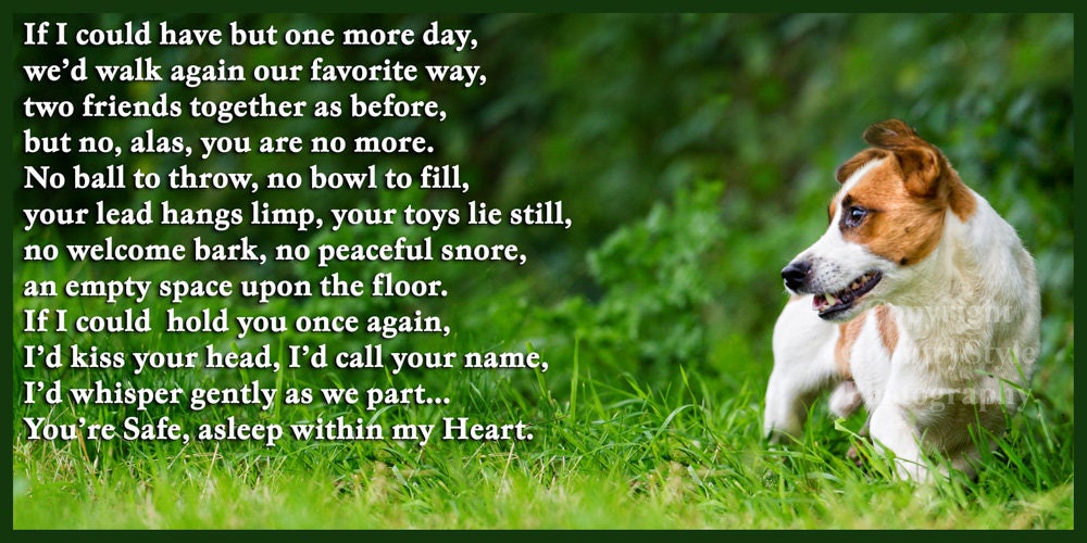 Jack Russell Terrier Memorial Fridge Pet Loss Etsy