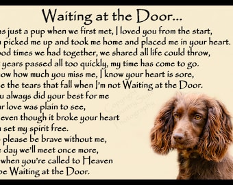 Brown Cocker Sprocker Spaniel pet dog Memorial Rainbow Bridge sympathy Gift