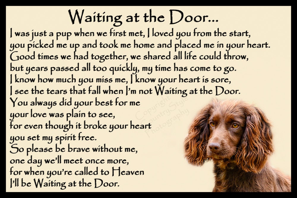 sprocker spaniel gifts