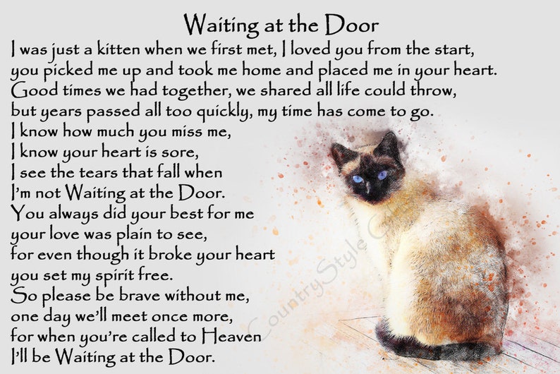 Beautiful Siamese Cat Memorial Pet Loss Bereavement Rainbow Etsy Denmark