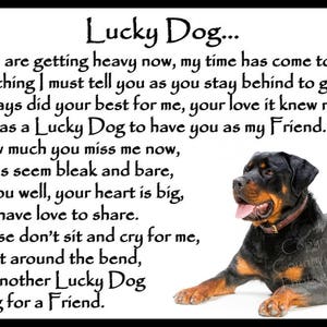 Rottweiler Dog Pet Loss Bereavement Fridge Magnet Memorial Sympathy ...