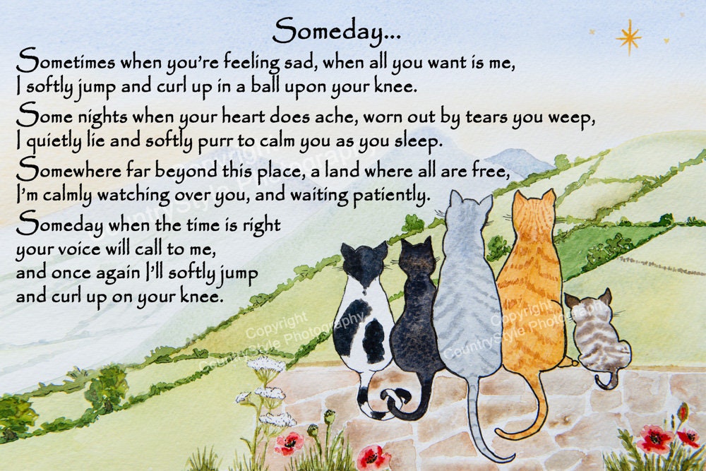 12 Best Pet Memorial Gift Ideas In 2023 - Memorial Gifts For Pets
