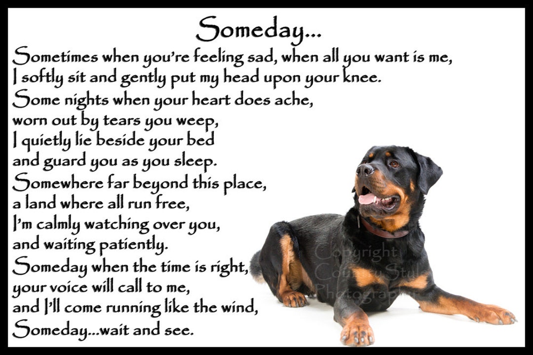 Rottweiler Dog Pet Loss Bereavement Fridge Magnet Memorial Sympathy ...