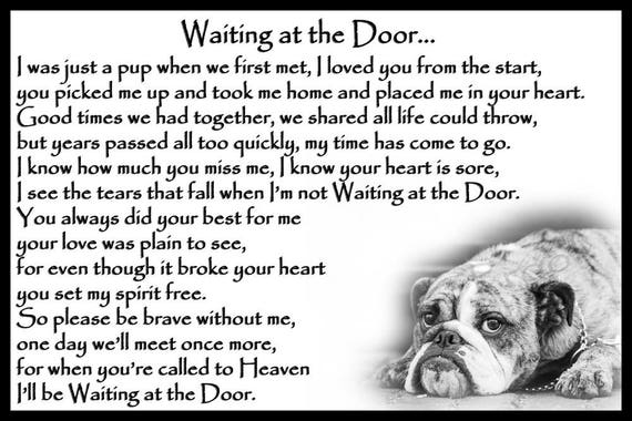 english bulldog memorial