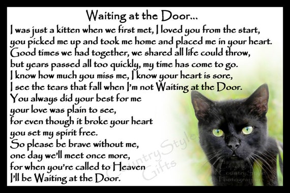 Beautiful Black Cat Memorial Pet Loss 