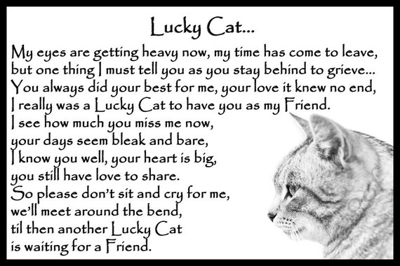 Beautiful Cat Memorial Pet Loss Bereavement Rainbow Bridge - Etsy New  Zealand