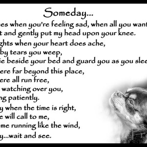 May include: Black and white image of a dog looking up with the text "Someday... Sometimes when you're feeling sad, when all you want is me, I softly sit and gently put my head upon your knee. Some nights when your heart does ache, worn out by tears you weep, I quietly lie beside your bed and guard you as you sleep. Somewhere far beyond this place, a land where all run free, I'm calmly watching over you, and waiting patiently. Someday when the time is right, your voice will call to me, and I'll come running like the wind, Someday...wait and see."