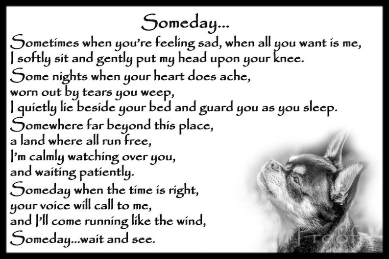 May include: Black and white image of a dog looking up with the text "Someday... Sometimes when you're feeling sad, when all you want is me, I softly sit and gently put my head upon your knee. Some nights when your heart does ache, worn out by tears you weep, I quietly lie beside your bed and guard you as you sleep. Somewhere far beyond this place, a land where all run free, I'm calmly watching over you, and waiting patiently. Someday when the time is right, your voice will call to me, and I'll come running like the wind, Someday...wait and see."