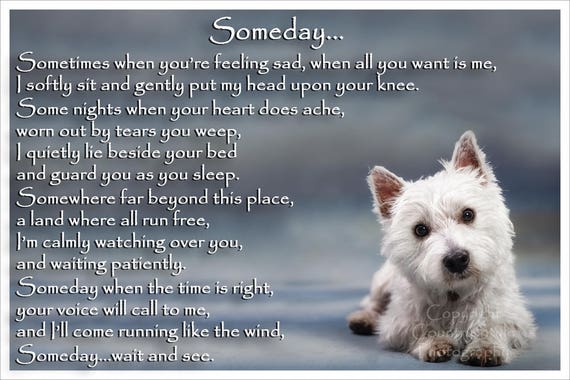Westies ibag never worn. West Highland White Terrier Westie Memorial Fridge Magnet  main image 4