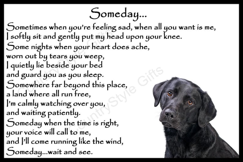 May include: Black and white print with a poem about a dog. The poem reads "Someday... Sometimes when you're feeling sad, when all you want is me, I softly sit and gently put my head upon your knee. Some nights when your heart does ache, worn out by tears you weep, I quietly lie beside your bed and guard you as you sleep. Somewhere far beyond this place, a land where all run free, I'm calmly watching over you, and waiting patiently. Someday when the time is right, your voice will call to me, and I'll come running like the wind, Someday...wait and see."