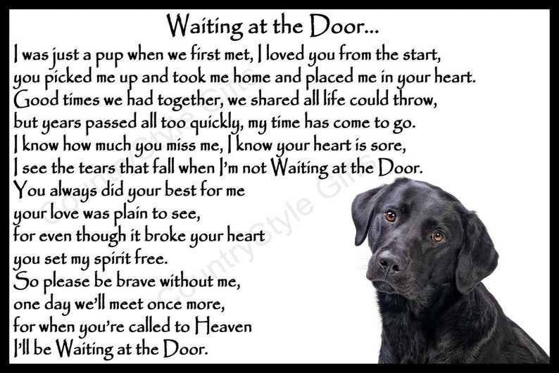 Black Labrador Retriever dog Flexible Magnet Rainbow Bridge Pet Loss Bereavement keepsake gift Waiting at the Door
