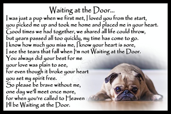 pet rainbow bridge memorial