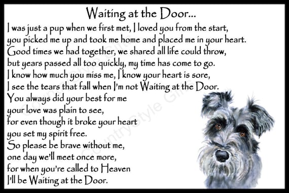 Schnauzer Dog Pet Memorial Sympathy Magnetic Card Rainbow Bridge