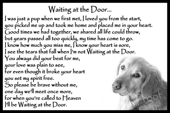 rainbow bridge gifts dogs