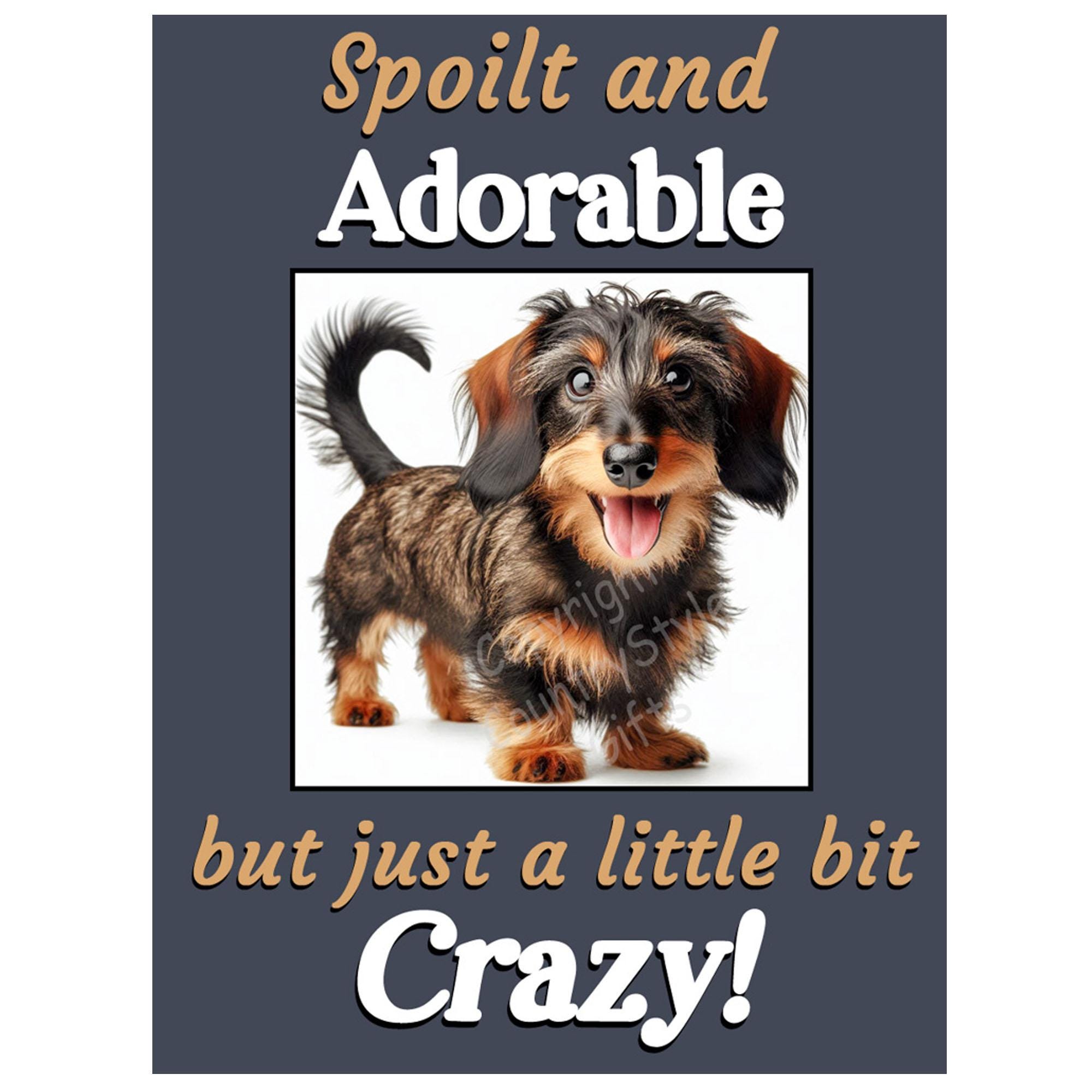 Funny DIAMOND☆DOGS 81VdLFbcVJL._UF894,1000_QL80_.jpg