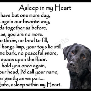 May include: Black and white image of a black Labrador Retriever with a poem about a dog that has passed away. The poem reads, "Asleep in my Heart. If I could have but one more day, we'd walk again our favorite way, two friends together as before, but no, alas, you are no more. No ball to throw, no bowl to fill, your lead hangs limp, your toys lie still, no welcome bark, no peaceful snore, an empty space upon the floor. If I could hold you once again, I'd kiss your head, I'd call your name, I'd whisper gently as we part... You're Safe, asleep within my Heart."