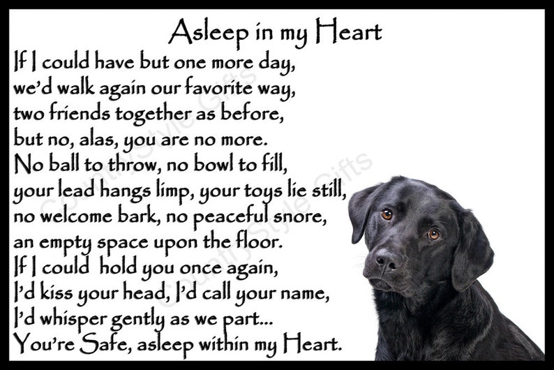 May include: Black and white image of a black Labrador Retriever with a poem about a dog that has passed away. The poem reads, "Asleep in my Heart. If I could have but one more day, we'd walk again our favorite way, two friends together as before, but no, alas, you are no more. No ball to throw, no bowl to fill, your lead hangs limp, your toys lie still, no welcome bark, no peaceful snore, an empty space upon the floor. If I could hold you once again, I'd kiss your head, I'd call your name, I'd whisper gently as we part... You're Safe, asleep within my Heart."
