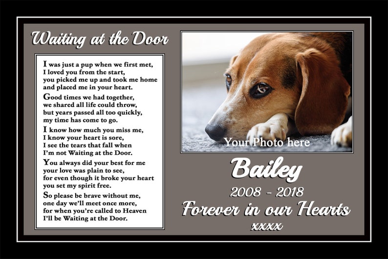 Download Pet Portraits Art Collectibles Pet Dog Personalised Photo Memorial Bereavement Gift Rainbow Bridge Mounted Print
