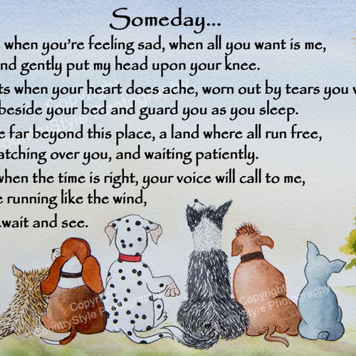 Rainbow Bridge Poem Pet DOG Loss Memorial Bereavement Colour Etsy