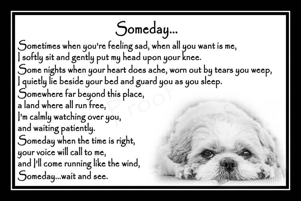 Someday unframed Westie Pet Dog Bereavement Sympathy Memorial Print