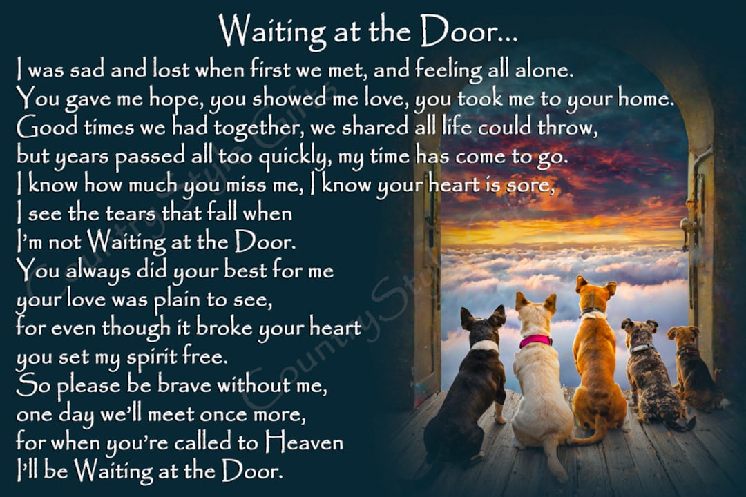 Sad Song Miss My Dog Song Miss My Dogs Young Thug: Song Lyrics