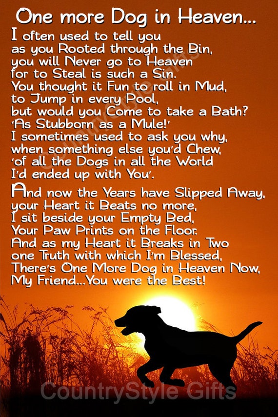 Pet Dog Memorial Waiting at the Door Rainbow Bridge Keepsake - Etsy Canada Pet Dog Memorial Waiting at the Door Rainbow Bridge Keepsake - Etsy Canada