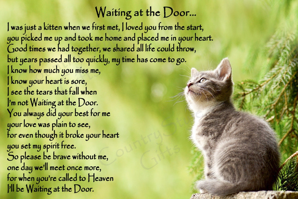 Cat Memorial Pet Loss Bereavement Rainbow Bridge Fridge Etsy