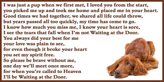 Red Irish Setter Dog Memorial Magnetic 