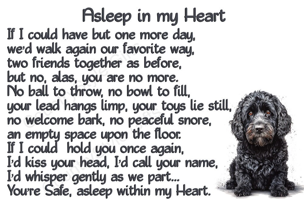 Cockapoo Magnet Black Cockapoo Memorial Magnet: Rainbow Bridge Keepsake - Etsy UK
