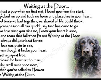 black cocker spaniel toy