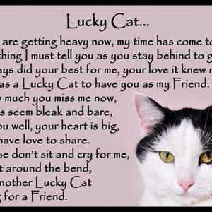 Beautiful Black and White Cat Memorial Pet Loss Bereavement - Etsy