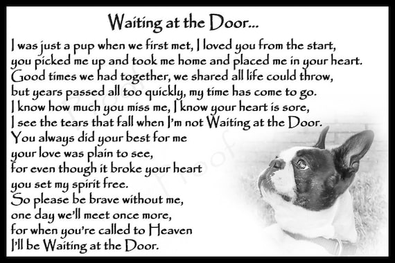 puppy teething smelly breath