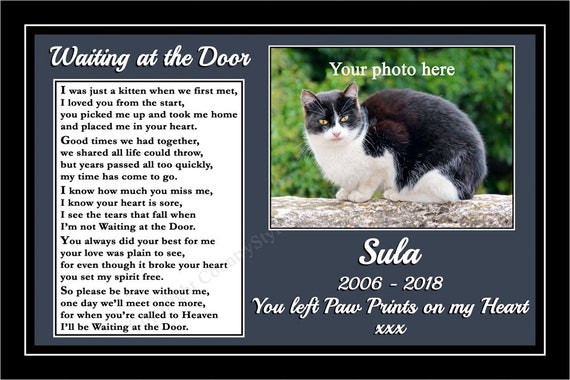 Personalised Pet Cat Memorial Bereavement Sympathy Rainbow Etsy