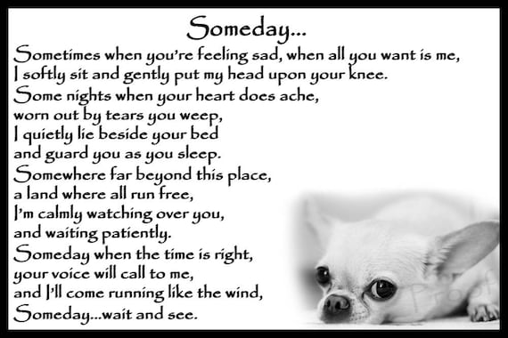 Someday Border Terrier dog memorial Flexible Fridge Magnet