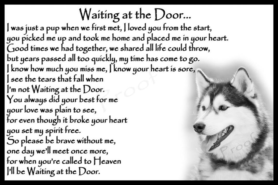 Goodbye Husky Siberian Husky Dog Pet Loss Memorial Bereavement Fridge Magnet Gift - Etsy