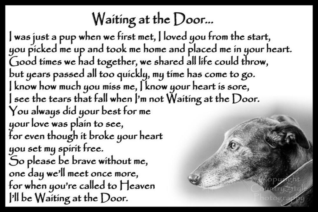 Lurcher Greyhound Whippet Pet Dog Memorial Fridge Magnet Plaque