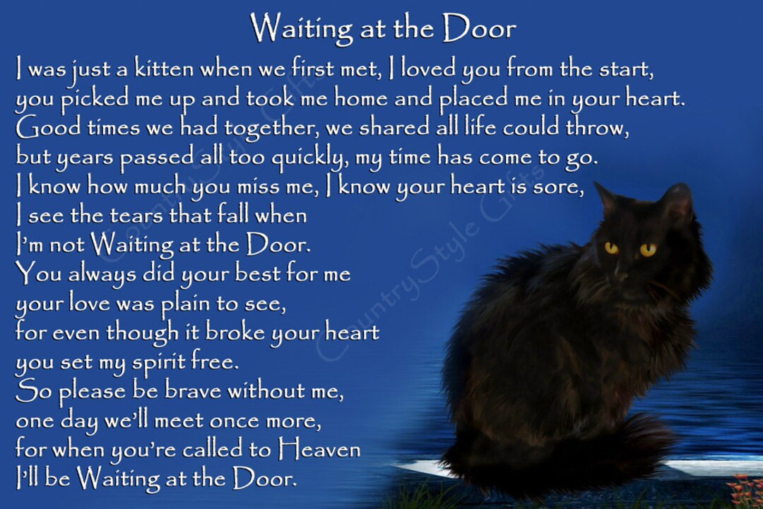 Black Cat Memorial Fridge Magnet: Pet Loss Rainbow Bridge Keepsake - Main Image