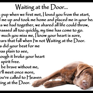 Chocolate Brown Labrador Retriever dog Memorial Fridge Magnet Pet Loss Bereavement gift