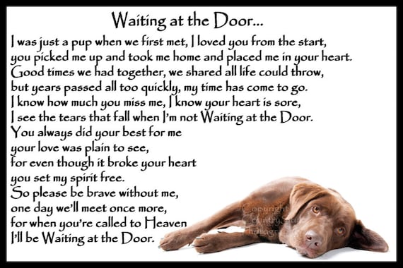 Chocolate Brown Labrador Retriever Dog Memorial Fridge Magnet Pet