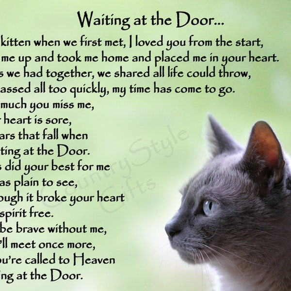 Grey Cat Memorial Regenboogbrug sterfgeval Sympathie Cadeau Aandenken Plaquette