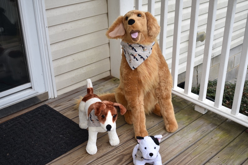 Tan Squirrel Print Dogdana Dog Bandana Dog Hankie