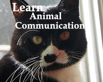 Heart2Heart with Animals: Learn Animal Communication, Part 2, Animal Communicator, Pet Psychic, Dog Whisperer, Cat Whisperer