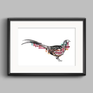 May include: A black and white illustration of a pheasant with a colourful abstract design behind it. The pheasant is facing right and has a long tail.
