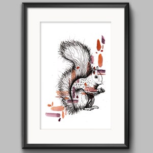 Squirrel