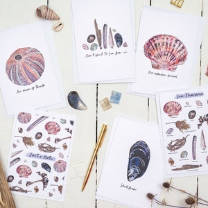 Sea Treasures - Conjunto de cartões de felicitações (pacote com 6)