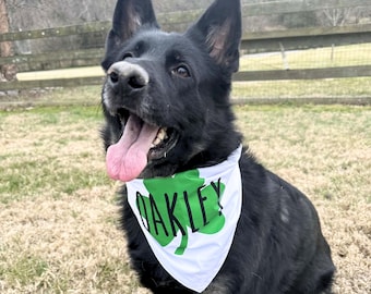 Könnte beinhalten: Ein schwarz-brauner Deutscher Schäferhund trägt ein weißes Halstuch mit einem grünen Kleeblatt und dem Aufdruck "OAKLEY". Der Hund hat die Zunge draußen und schaut nach oben. Der Hintergrund umfasst einen Holzzaun und trockenes Gras.