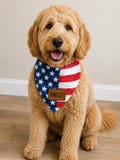 Dog Bandana, 4th of July Bandana, Red White and Blue, Patriotic Dog Gifts, Pet Lover Gift, Pet Bandana for Summer, Dog Mom Pet Gifts product logo