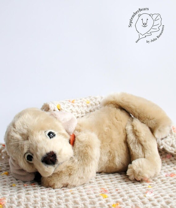 labrador teddy