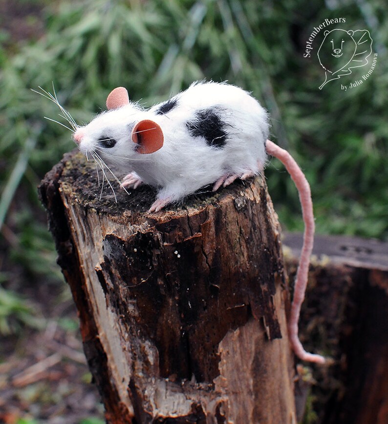SOLD Realistic Mouse pet portrait life size white mouse pet Etsy