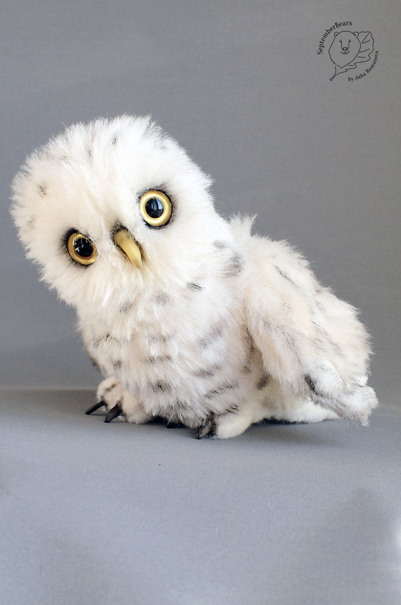 similar to owlet
